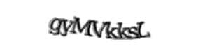 Security check image, please type the characters shown